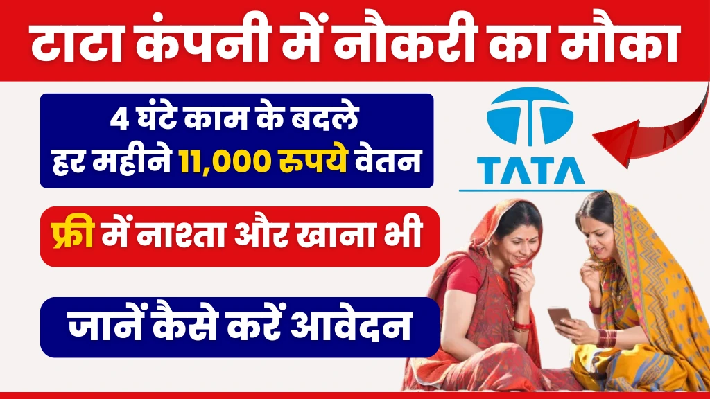 Ladki Bahin Yojana Part Time Job