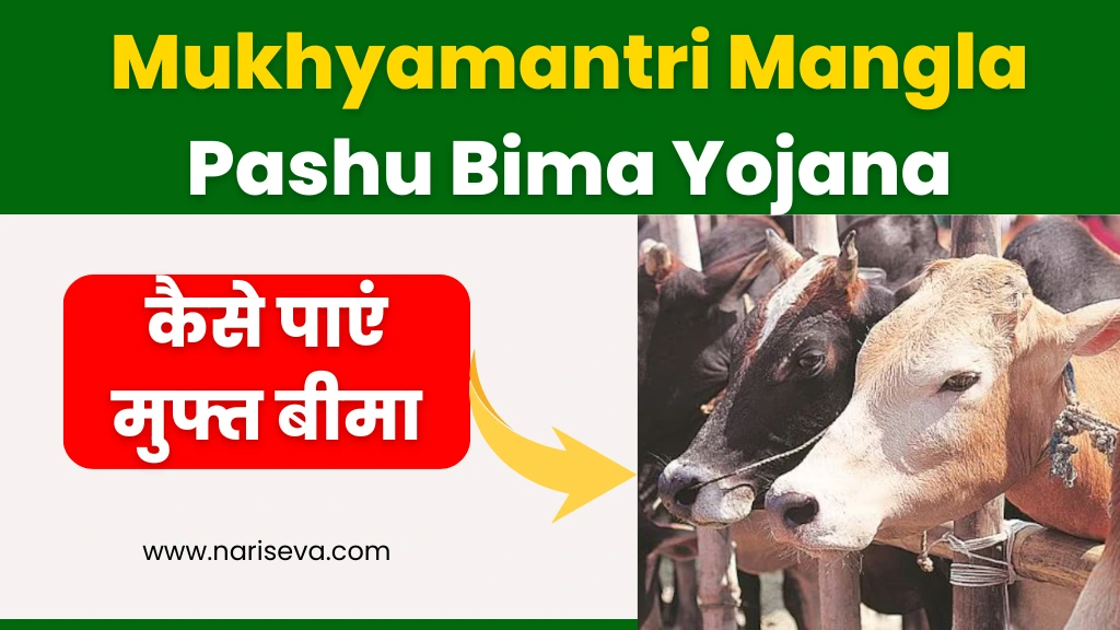 Mukhyamantri Mangla Pashu Bima Yojana